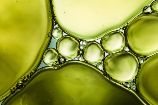 Formes géométriques dans la nature