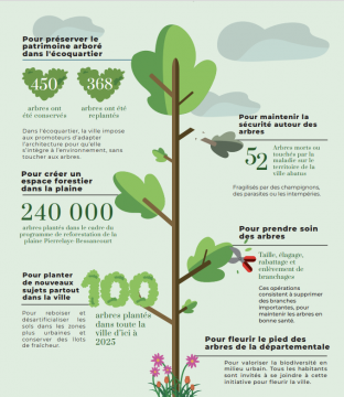 Statistiques arbres