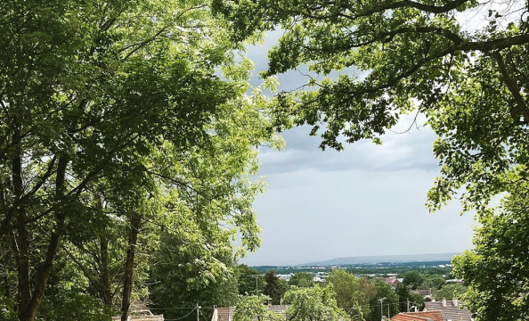 Jardin partagé du haut tertre