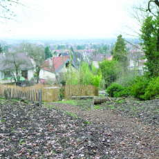 Jardins partagés 