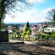 Jardins partagés 