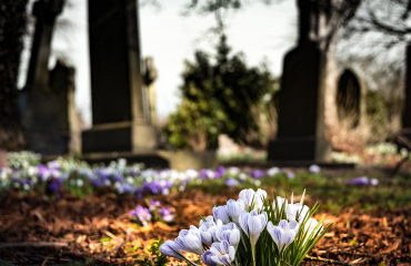 cimetière