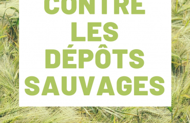 dépôts sauvage