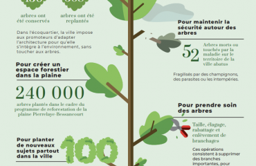 Statistiques arbres