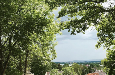 Jardin partagé du haut tertre